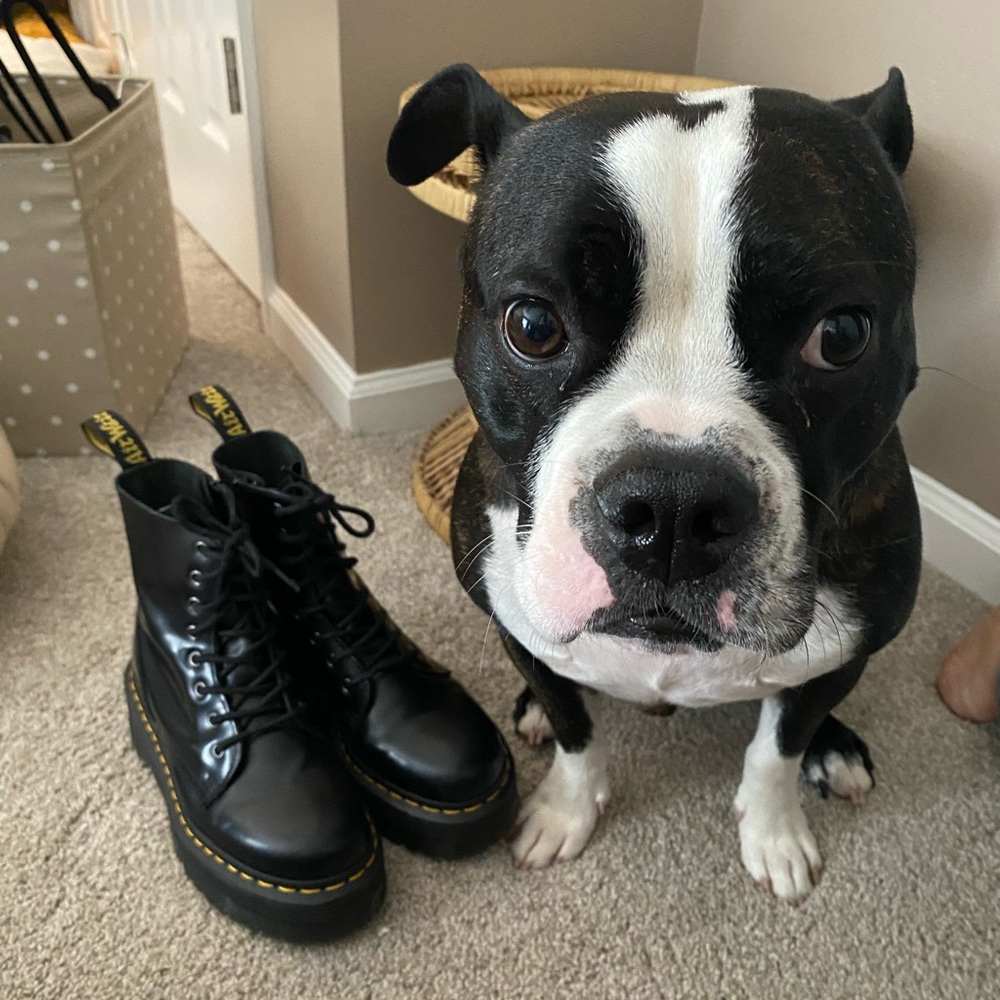 Jadon Dr. Martens
